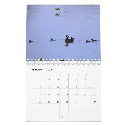 水鳥予定表 カレンダー (2月 2026)