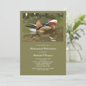 水鳥招待状 招待状 (スタンド正面)