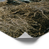 水鳥狩り ポスター (角)