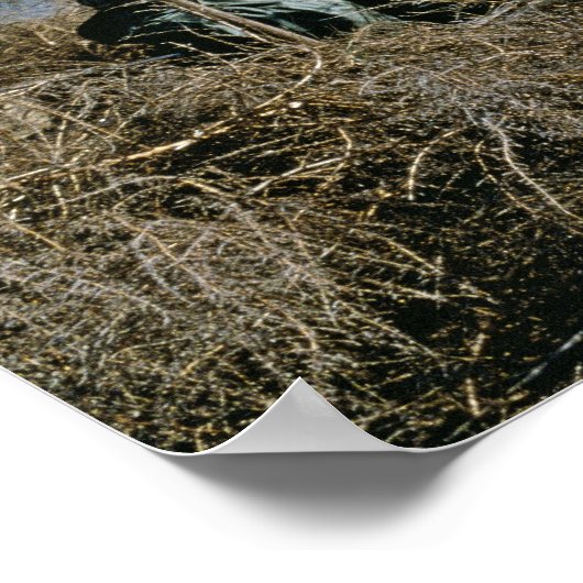 水鳥狩り ポスター (角)