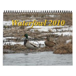 水鳥2010のカレンダー カレンダー
