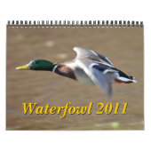 水鳥2011のカレンダー カレンダー (カバー)