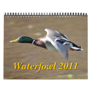 水鳥2011のカレンダー カレンダー