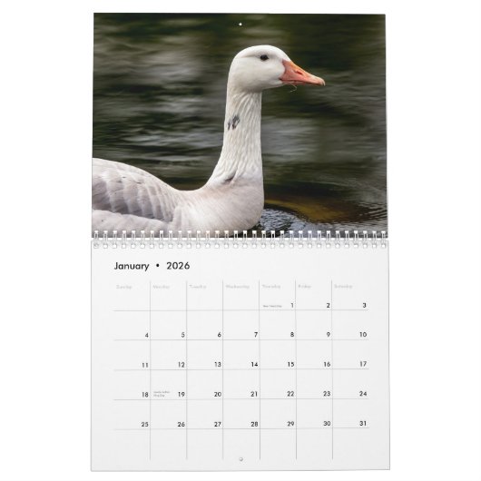 水鳥20 カレンダー (1月 2026)