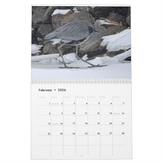 水鳥2 カレンダー (2月 2026)