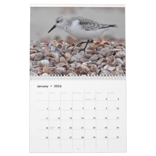 水鳥2 カレンダー (1月 2026)