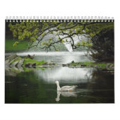 水鳥 カレンダー (カバー)