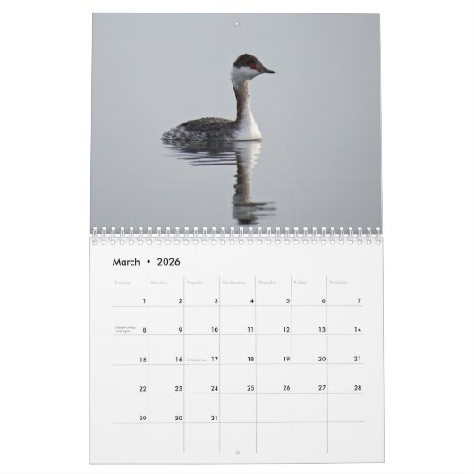 水鳥 カレンダー (3月 2026)