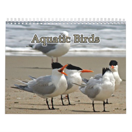 水鳥 カレンダー (カバー)