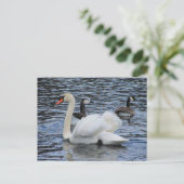 水鳥～ポストカード ポストカード (スタンド正面)