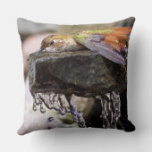 水2で置いているハチドリ クッション (裏面)