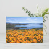 水 |カリフォルニアの湖とゴールデンポピー サンキューカード (スタンド正面)