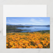 水 |カリフォルニアの湖とゴールデンポピー サンキューカード (正面/裏面)