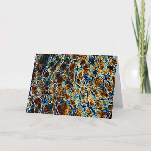 水 カード (正面)