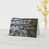 水、カード カード (黄色い花)