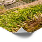 水 |グレンぶら下がったウッド湖春（コロラド） ポスター (角)