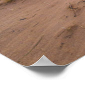 水 |グレン・レイク・スリーピング・ベア・デューンズ・ミシガン ポスター (角)