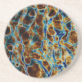 水 コースター (正面)