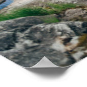 水 |スウェーデンの湖でカヌー ポスター (角)