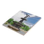 水"セントラル・パーク、NYCのBethesda "天使 タイル (側面)