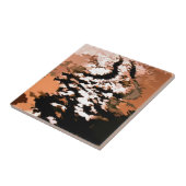 水 タイル (側面)