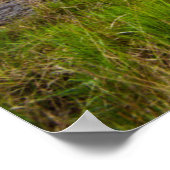 水 |ダンローイ郡ケリー・アイルランドのギャップ ポスター (角)