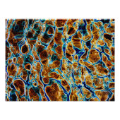 水 フォトプリント            (正面)