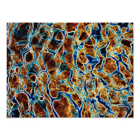 水 フォトプリント            (正面)