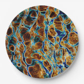 水 ペーパープレート (正面)