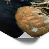 水 ポスター (角)