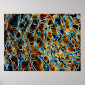 水 ポスター (正面)