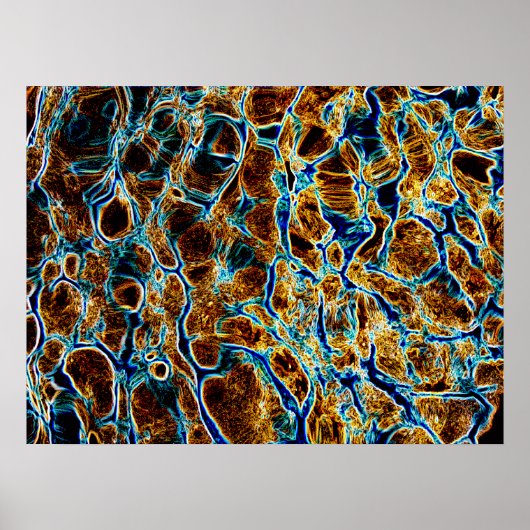 水 ポスター (正面)