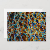 水 ポストカード (正面/裏面)