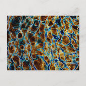 水 ポストカード (正面)