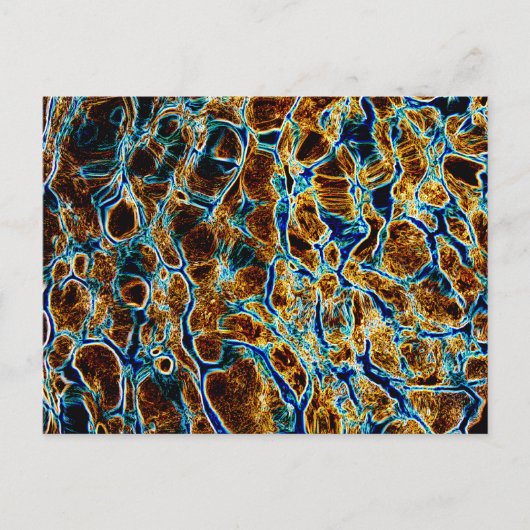 水 ポストカード (正面)