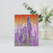 水 ポストカード (スタンド正面)