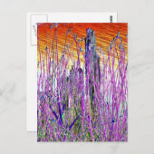 水 ポストカード (正面/裏面)