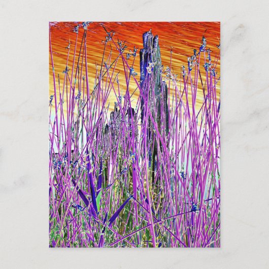 水 ポストカード (正面)