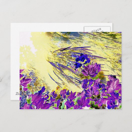 水 ポストカード (正面/裏面)