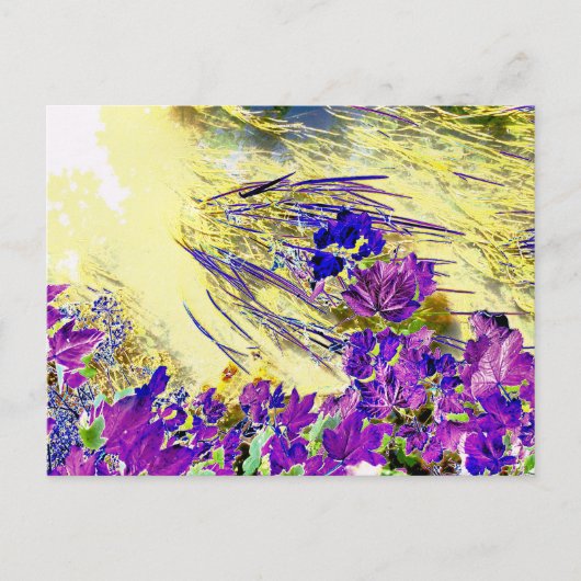 水 ポストカード (正面)