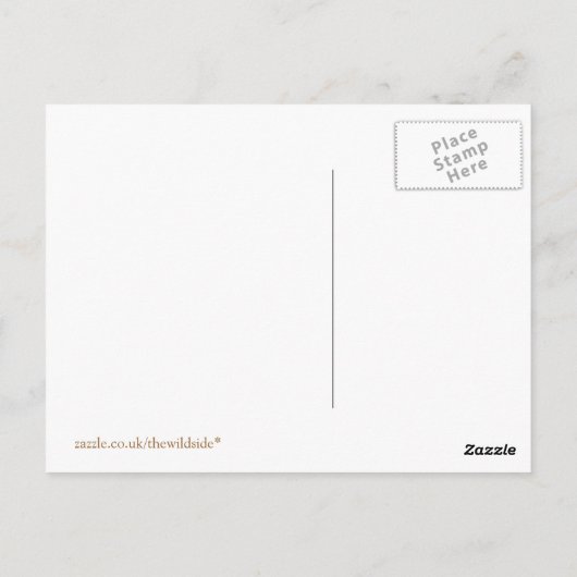 水 ポストカード (裏面)