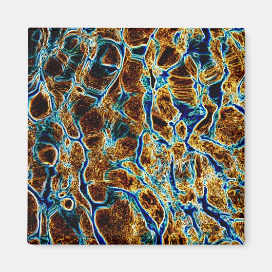 水 マグネット (正面)