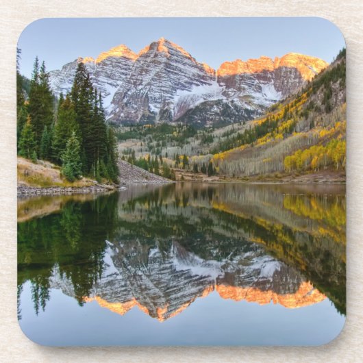 水 |マルーンベルズレイク《植物》アスペンツリー コースター (正面)