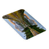 水 |マルーンベルズレイク《植物》アスペンツリー マグネット (右側)