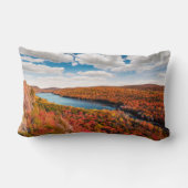 水 |ミシガン山の山林 ランバークッション (裏面)