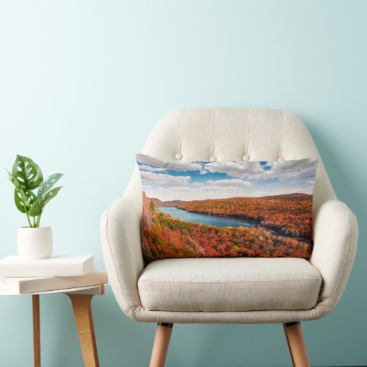 水 |ミシガン山の山林 ランバークッション (椅子)