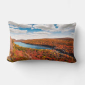 水 |ミシガン山の山林 ランバークッション (正面)