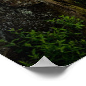 水 |ミネソタ州，スーペリアグランドマレ湖 ポスター (角)