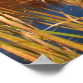 水 |メイベル・レイク・カナダ ポスター (角)