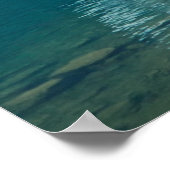 水 |モレーヌ湖（カナダ） ポスター (角)